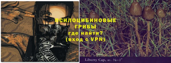 круглые Аркадак