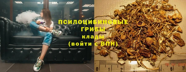 mdpv Медвежьегорск