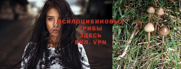 дмт Баксан