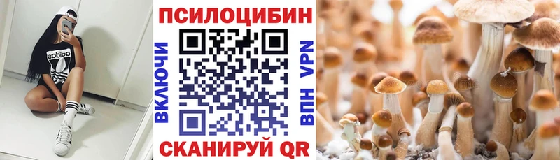 Галлюциногенные грибы прущие грибы  Каспийск 